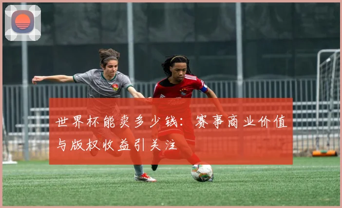 世界杯能卖多少钱:赛事商业价值与版权收益引关注
