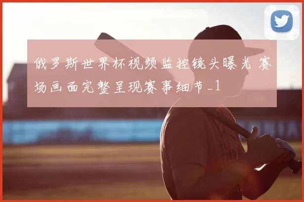 俄罗斯世界杯视频监控镜头曝光 赛场画面完整呈现赛事细节_1