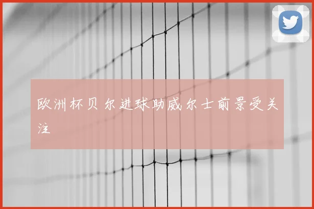 欧洲杯贝尔进球助威尔士前景受关注