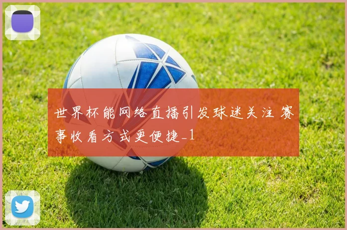 世界杯能网络直播引发球迷关注 赛事收看方式更便捷_1