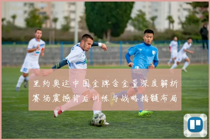 里约奥运中国金牌含金量深度解析赛场震撼背后训练与战略精髓布局