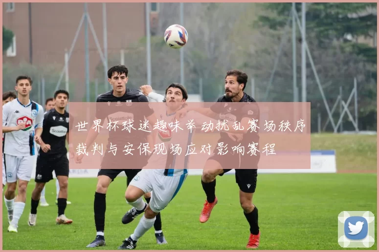 世界杯球迷趣味举动扰乱赛场秩序裁判与安保现场应对影响赛程